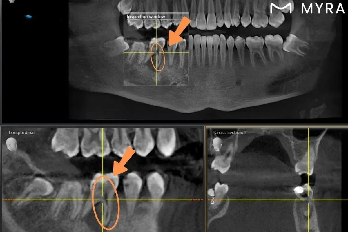 Holisitic Dentist Alaska Holisitic Dentist Alaska